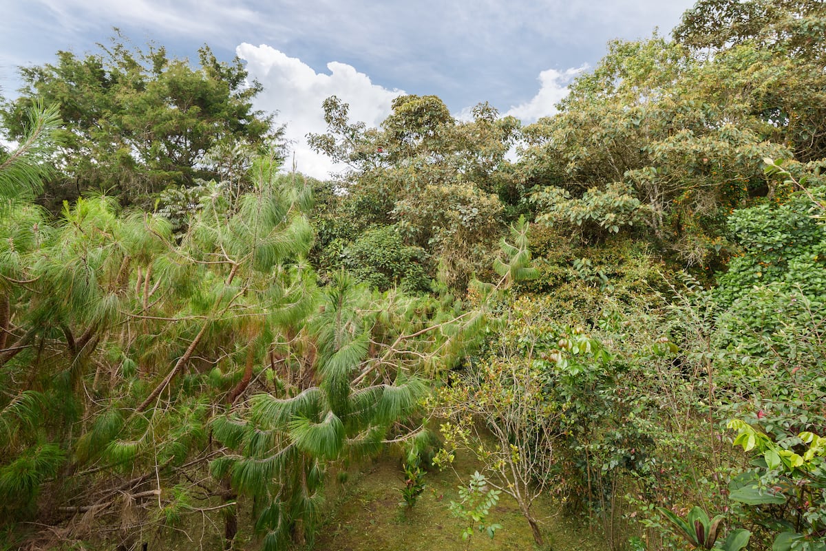 Tiny Home la silleta | Naturaleza, Fogata & bBQ