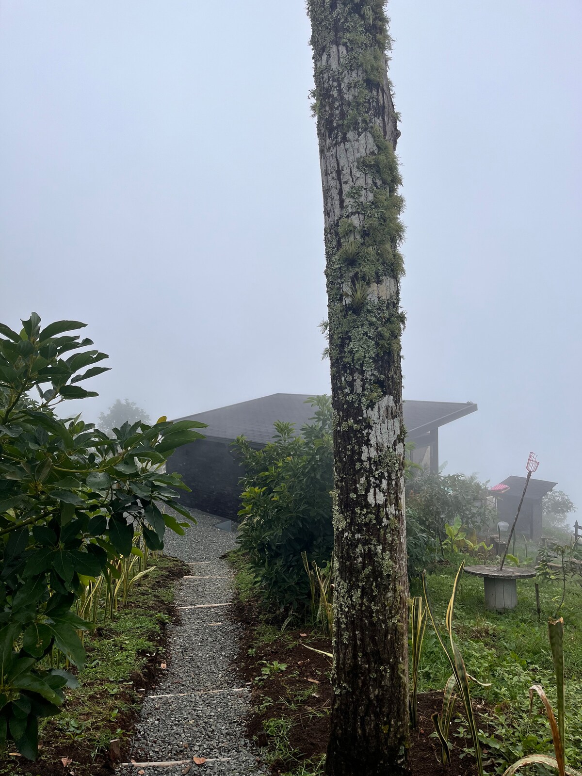 Glamping Oro Verde