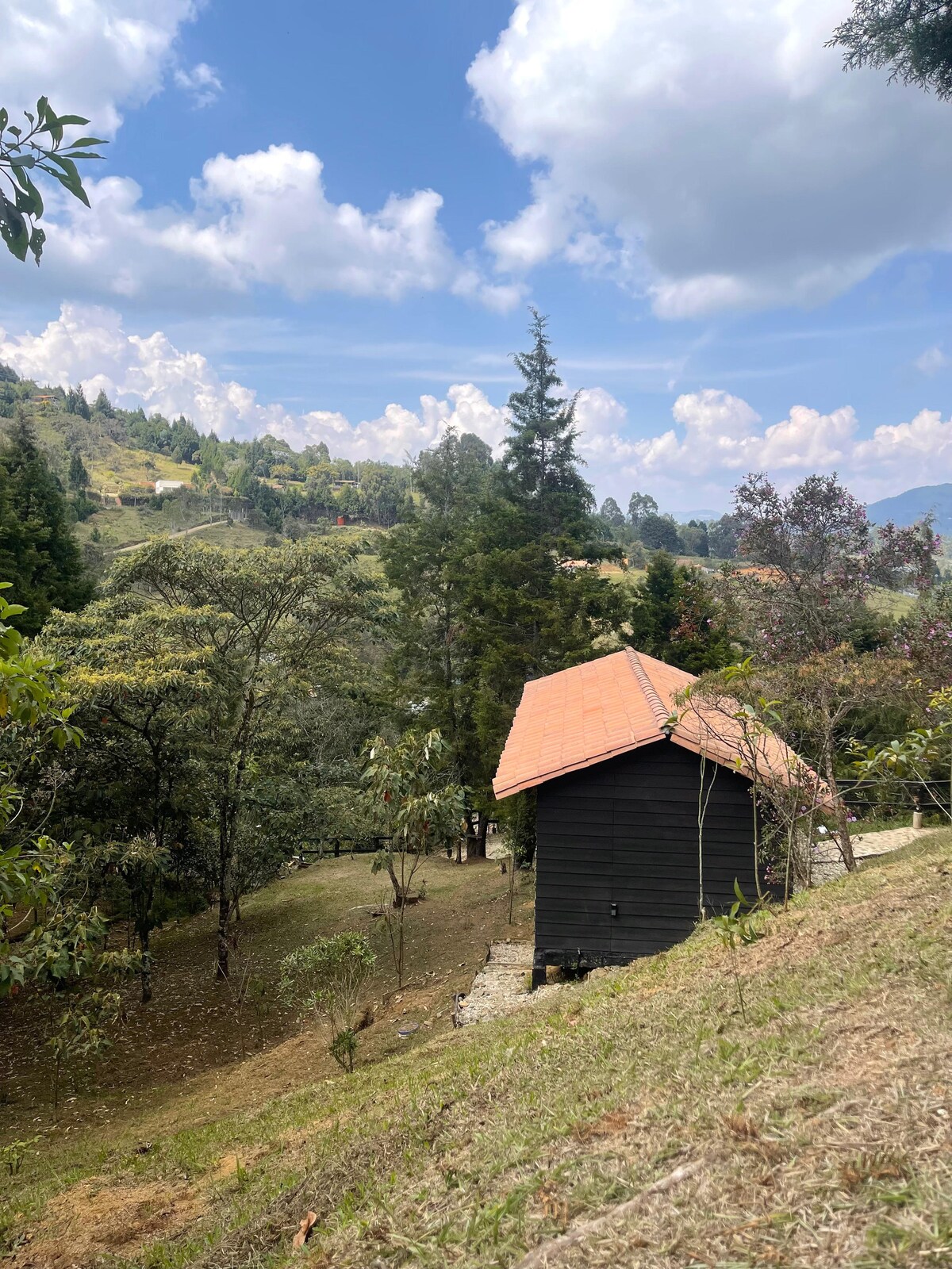 Cabaña de lujo con jacuzzi y terraza | Guayacán