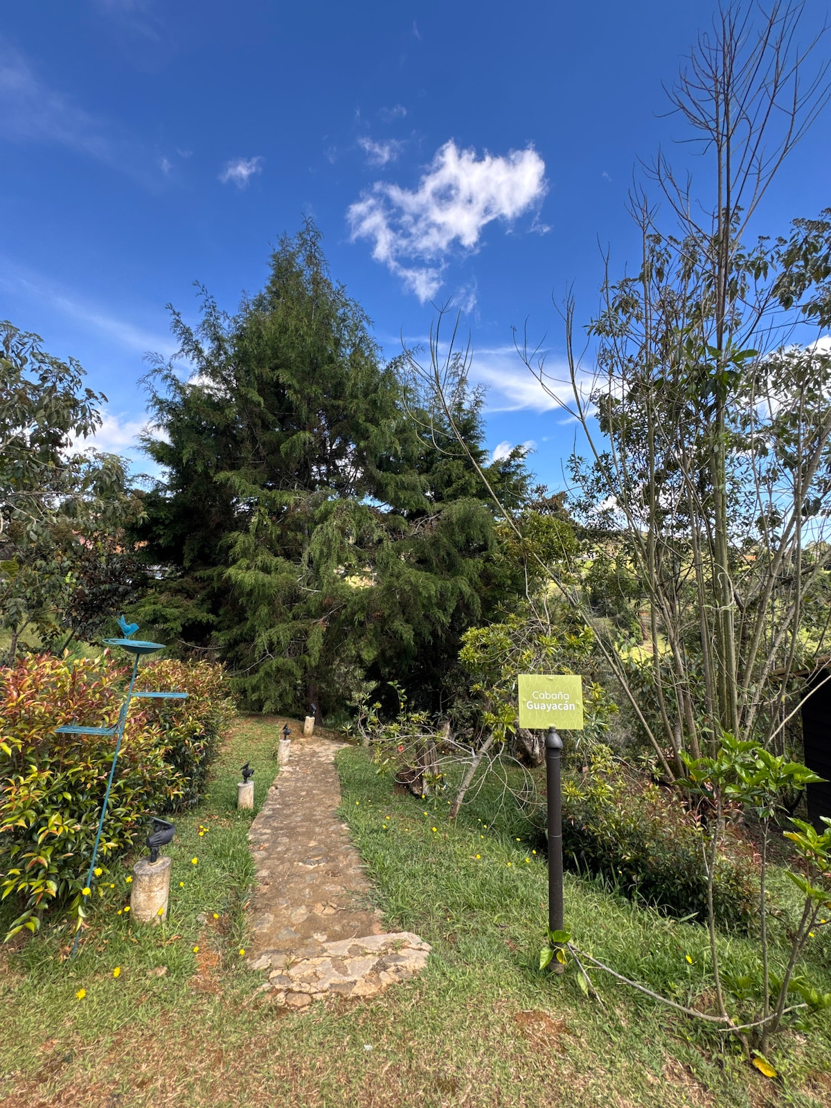 Cabaña de lujo con jacuzzi y terraza | Guayacán