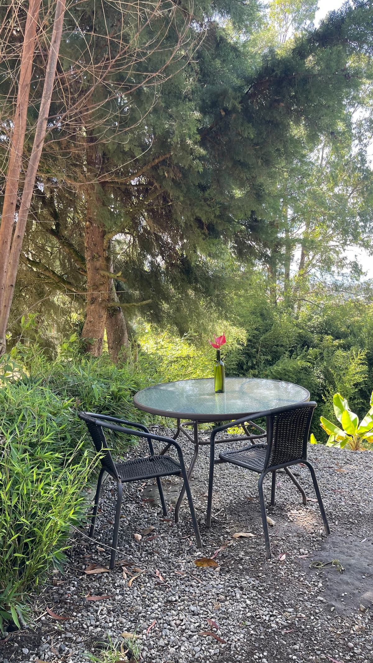 Glamping sencilla Encanto Verde Oriente Antioqueño