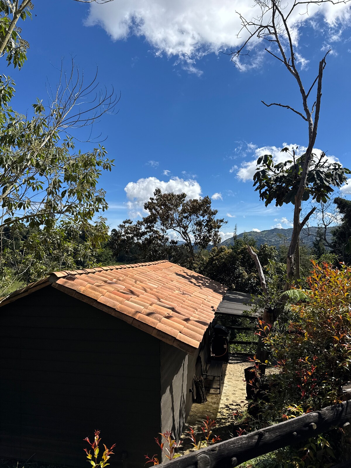 Cabaña de lujo con jacuzzi y malla | Yarumo