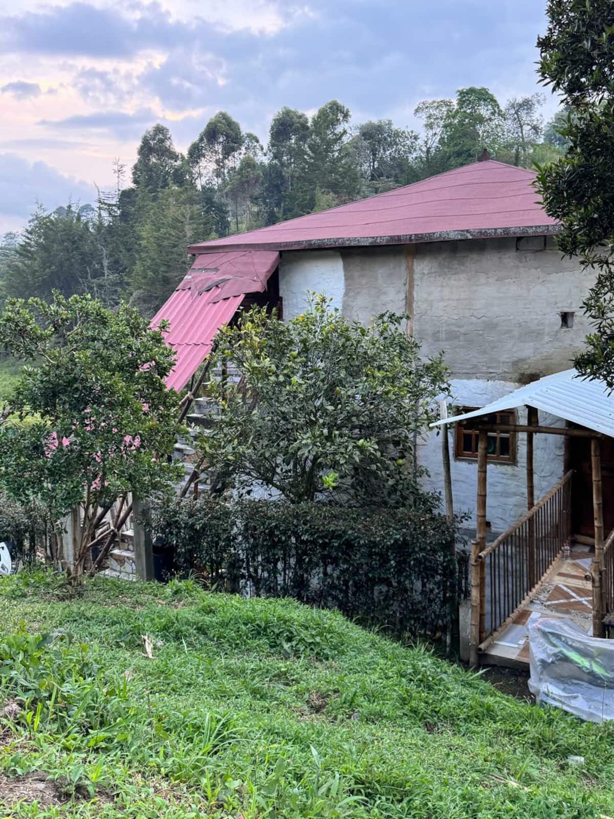 Confort conexión Campestre