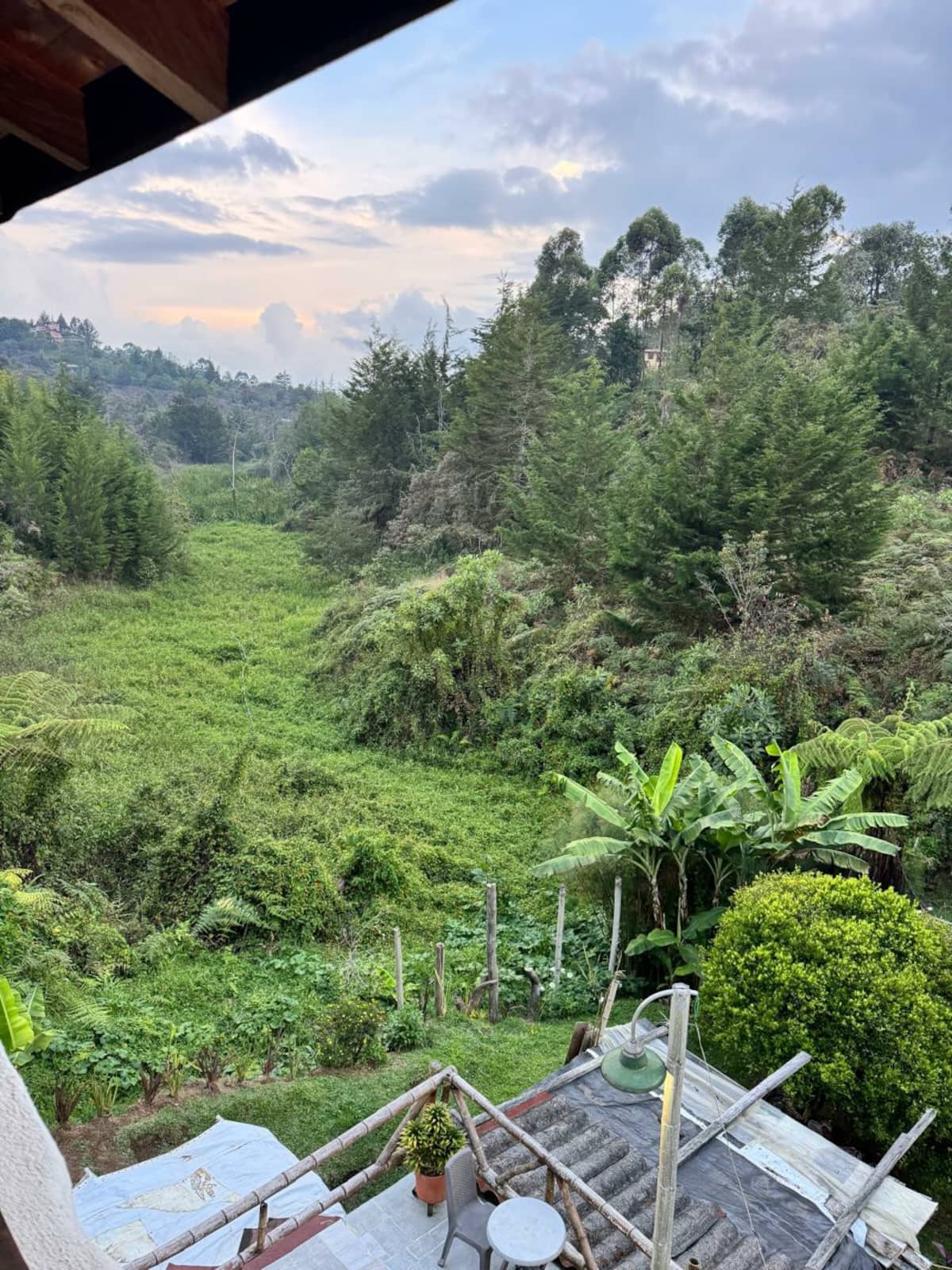 Confort conexión Campestre