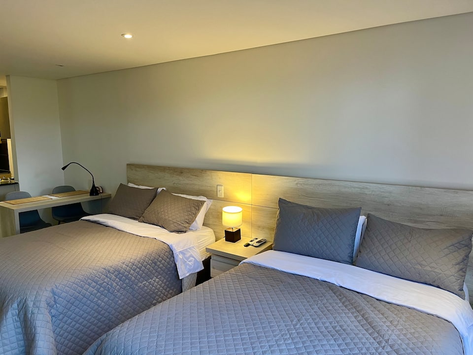 Suite moderna a 10 minutos del aeropuerto/2 camas/aire acondicionado/jacuzzi/gimnasio