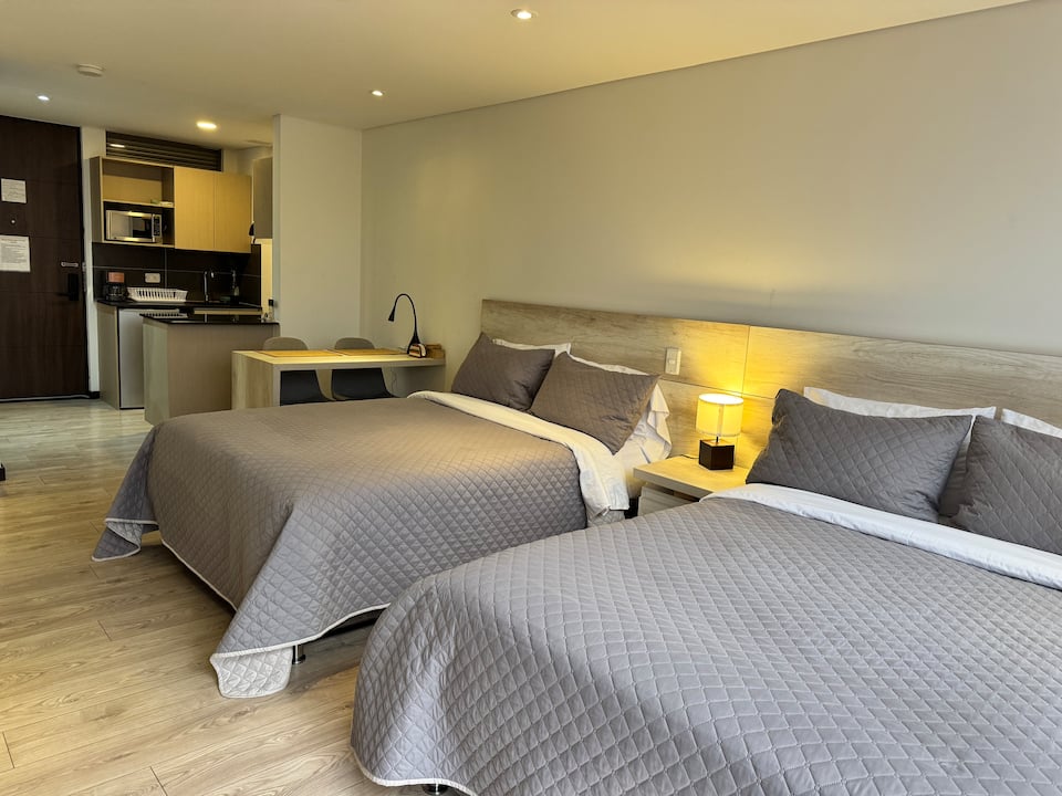 Suite moderna a 10 minutos del aeropuerto/2 camas/aire acondicionado/jacuzzi/gimnasio