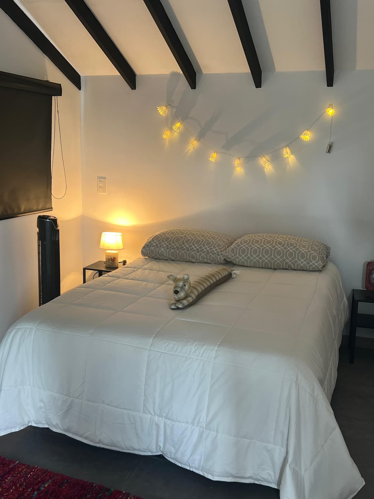 -Casa Carlo-