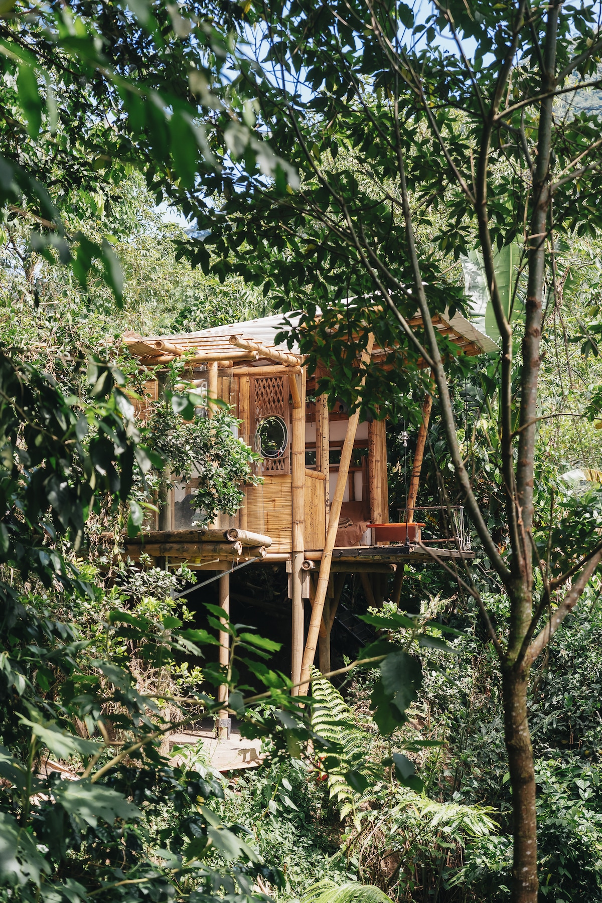 Refugio Jacaranda. Casa Borojó