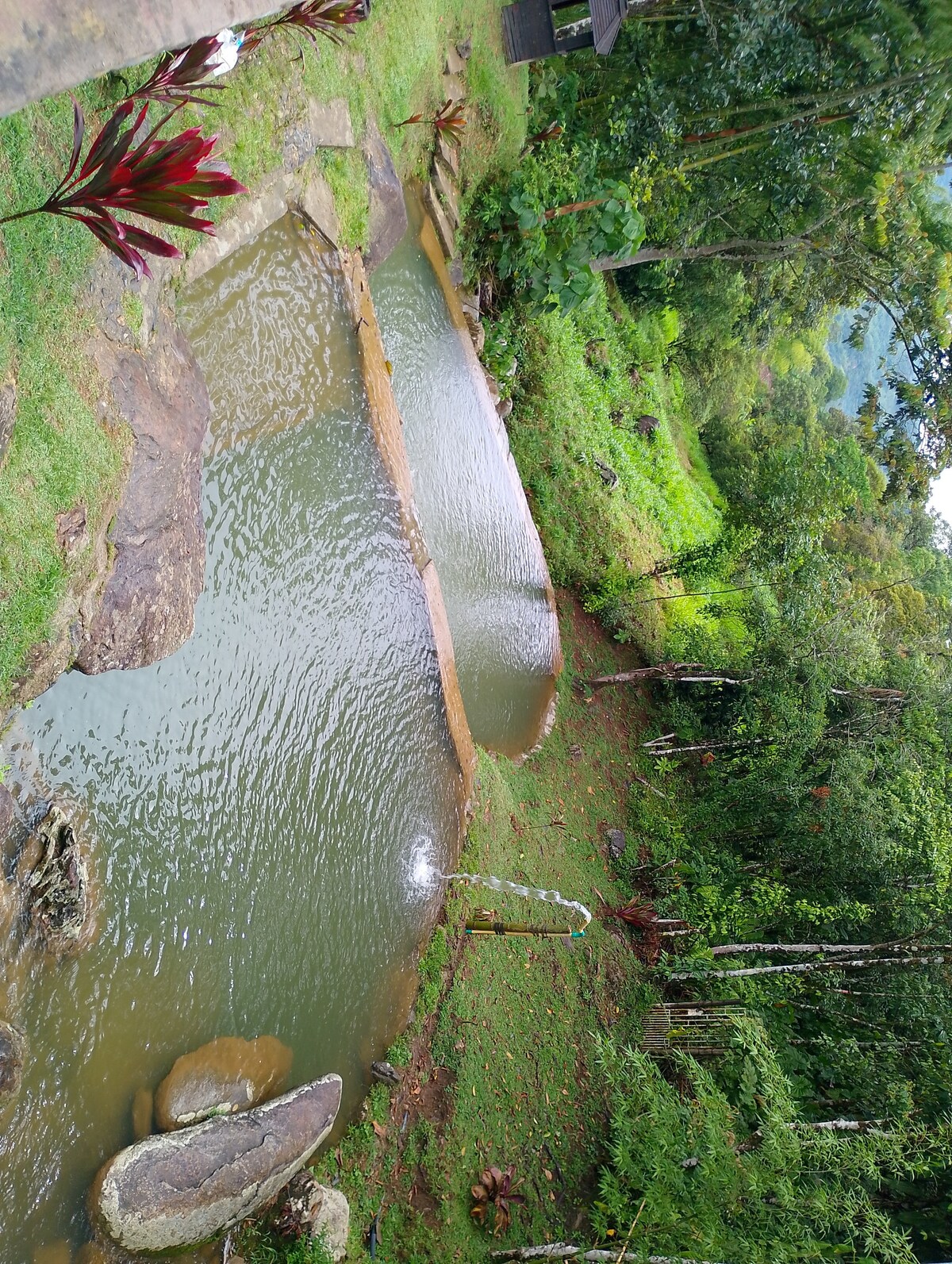 Ecohotel Los Cedros