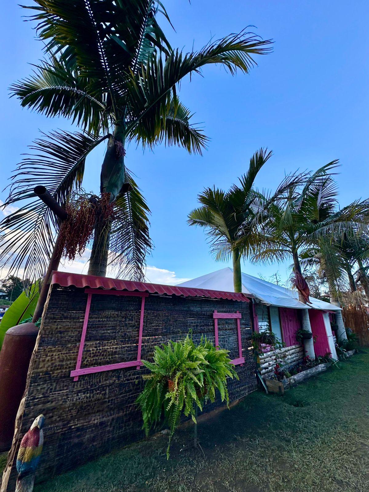 La Palma Nature · Jacuzzi, San Félix