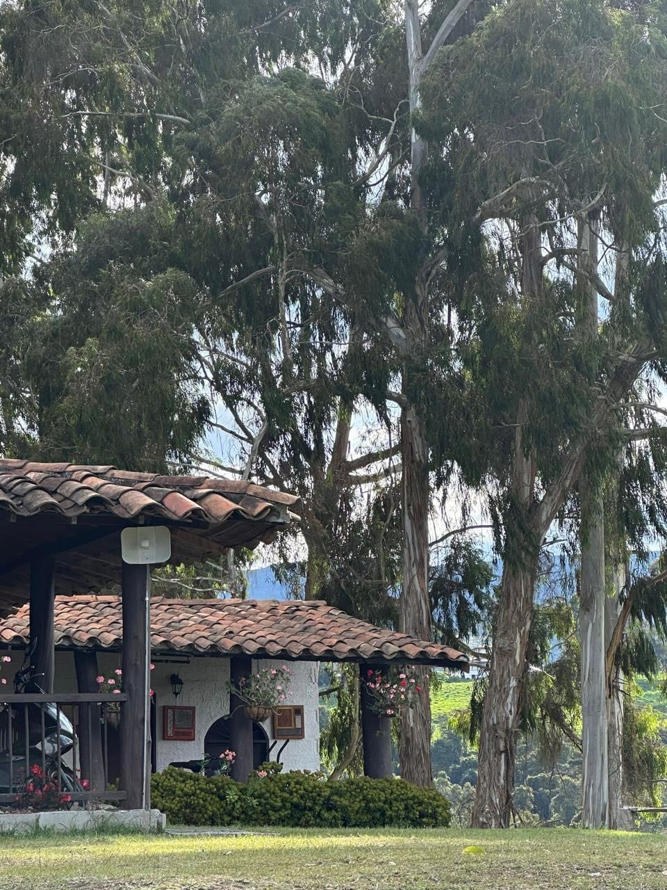 La finca de Alex