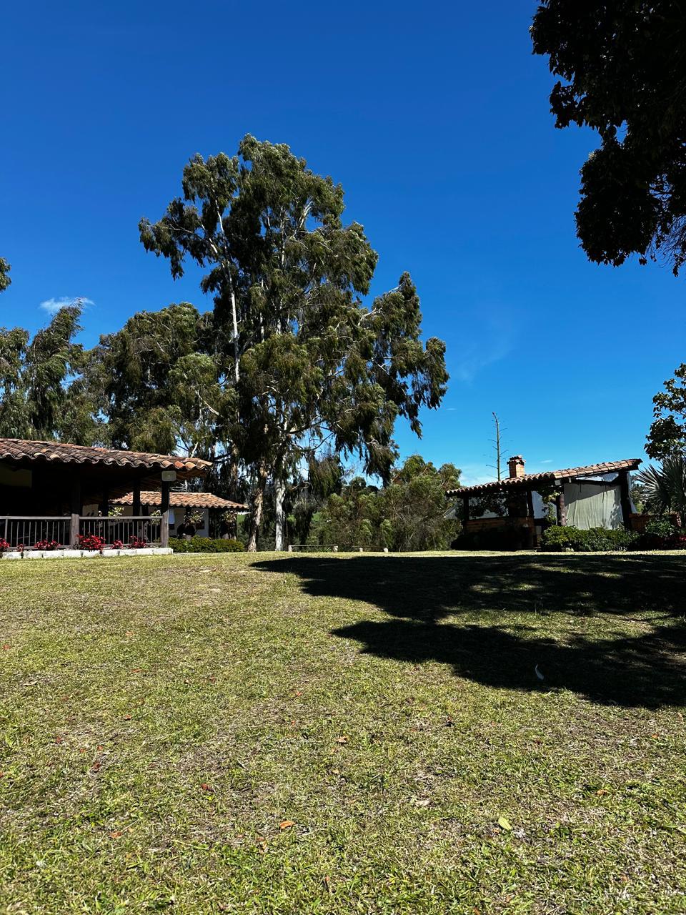 La finca de Alex