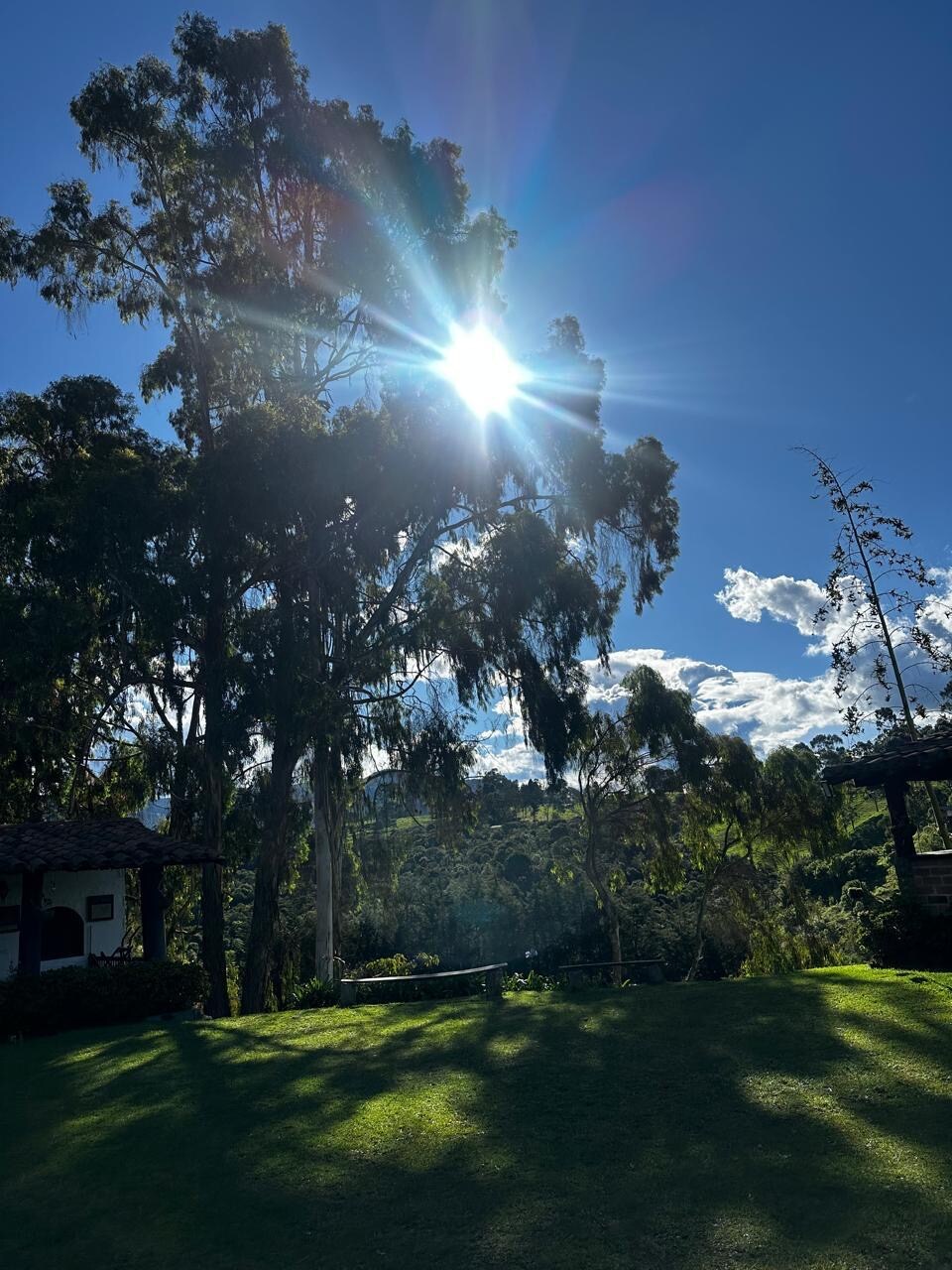 La finca de Alex