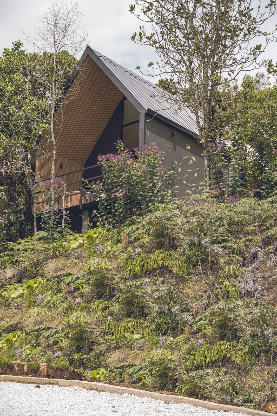 «Casa Tambo • Santa Elena»