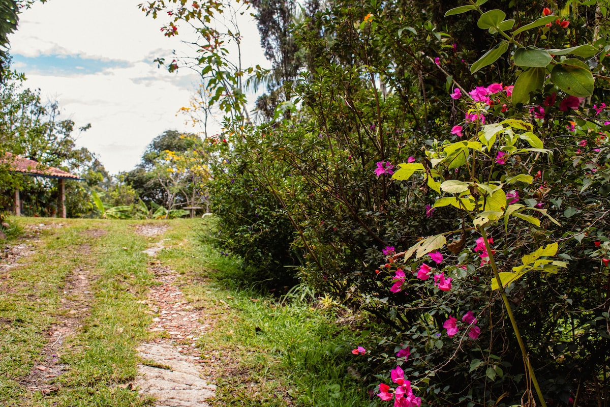 Acogedora Casa De Campo Con Amplios Jardines