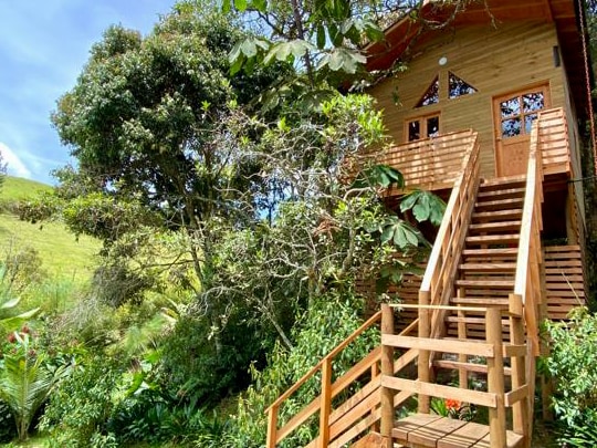 La Casa en el Bosque