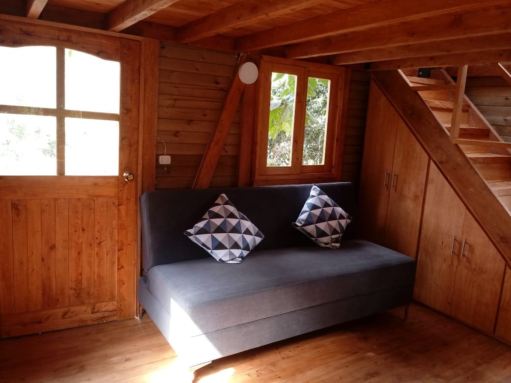 La Casa en el Bosque