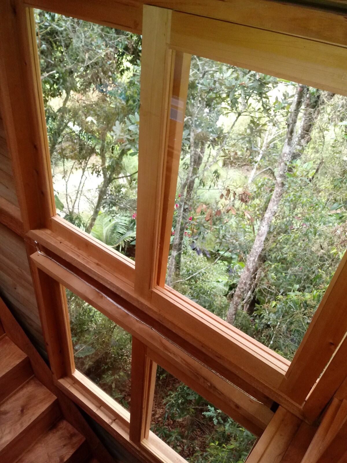La Casa en el Bosque