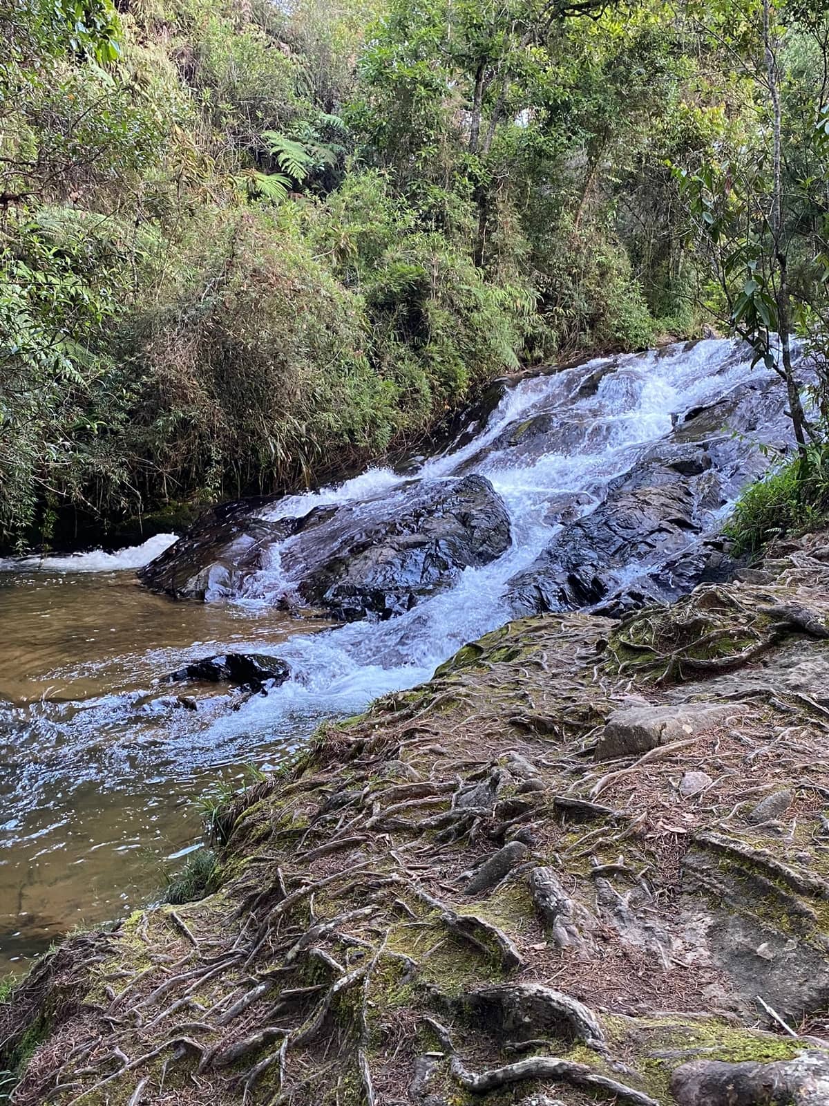 Cabaña La Odisea  Espacio para disfrutar en pareja