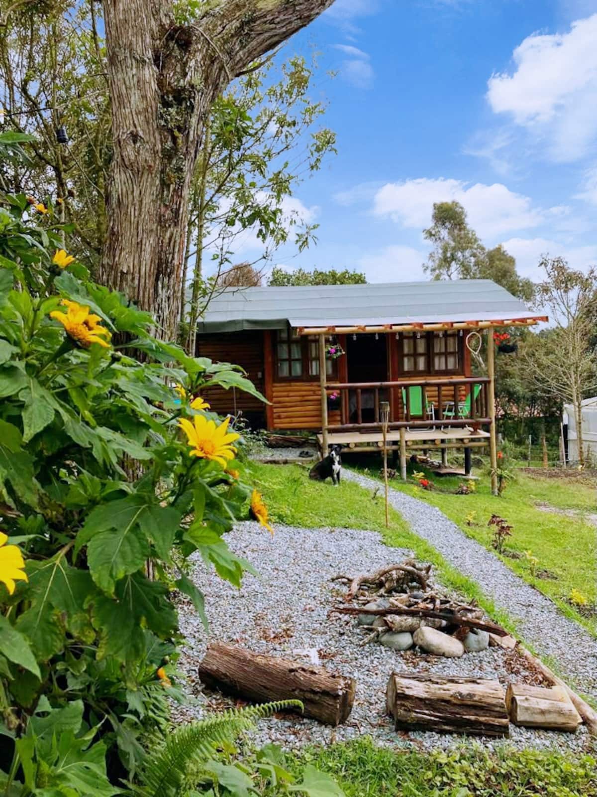 Cabaña La Odisea  Espacio para disfrutar en pareja