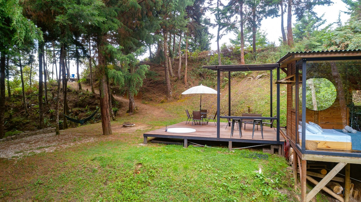 PNR Radiata Minicasa en el Bosque