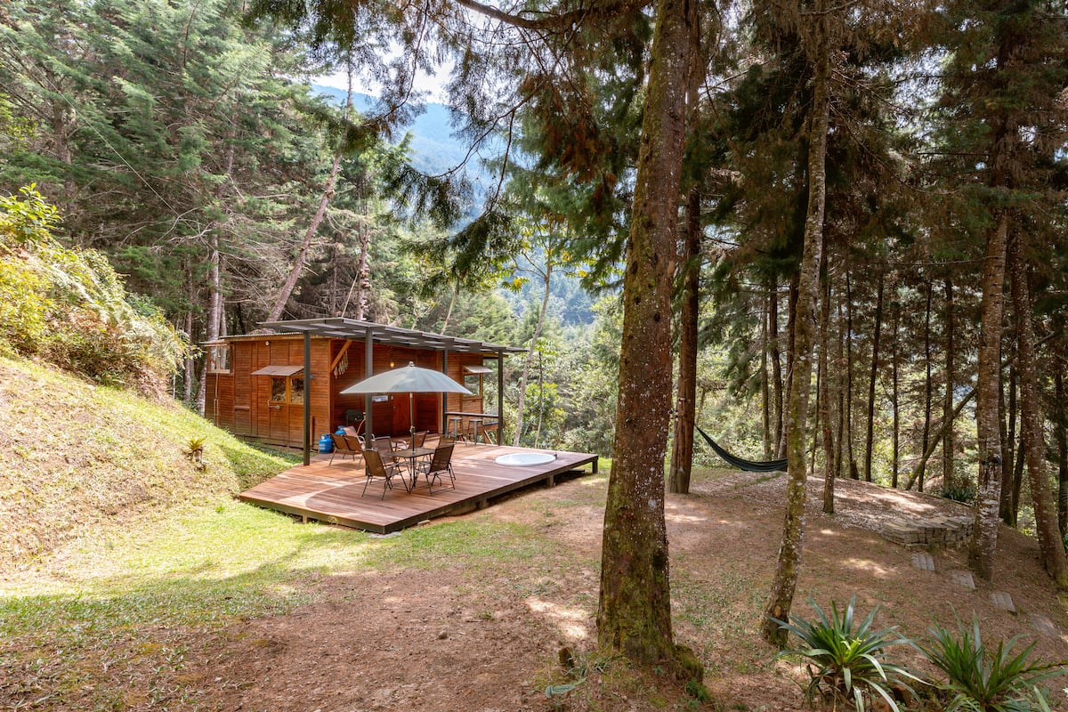 PNR Radiata Minicasa en el Bosque