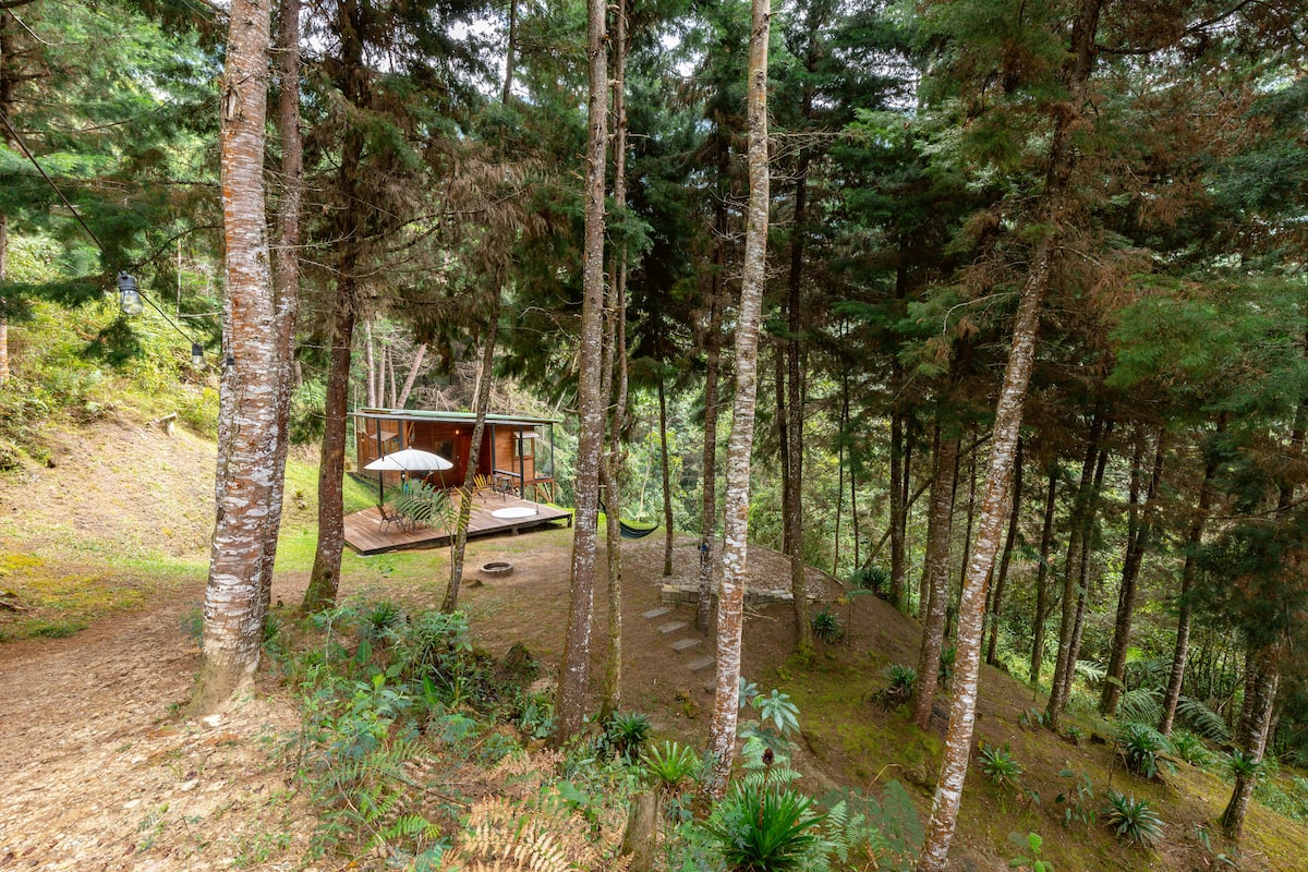 PNR Radiata Minicasa en el Bosque