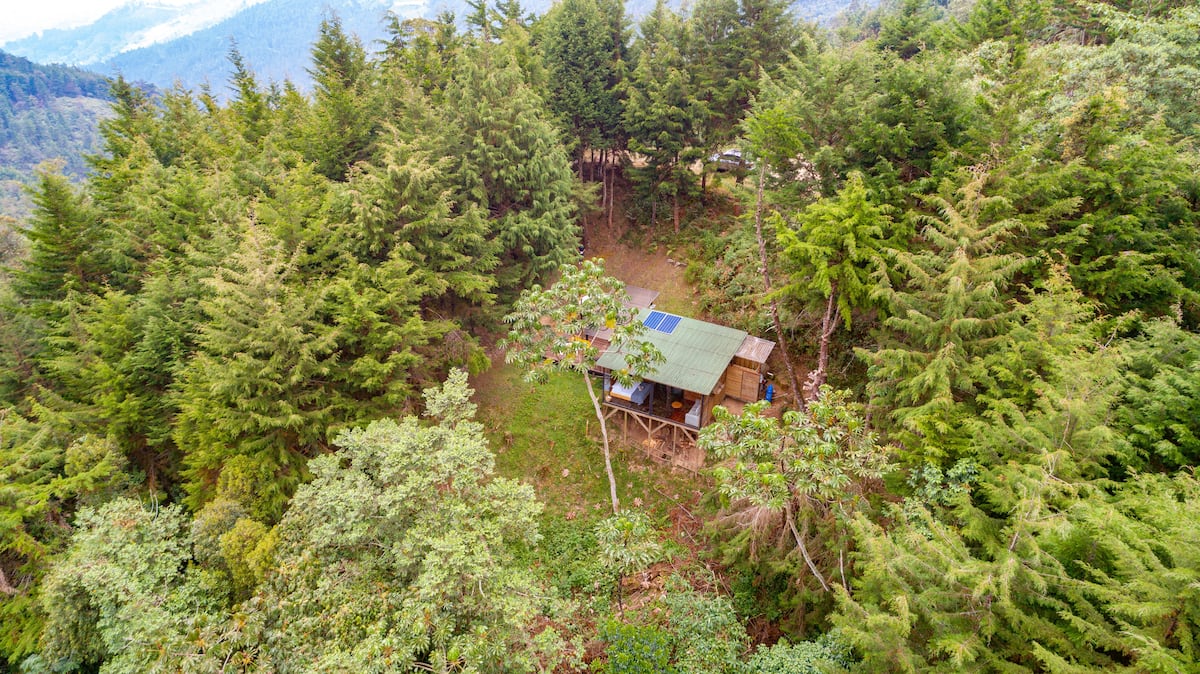 PNR Radiata Minicasa en el Bosque