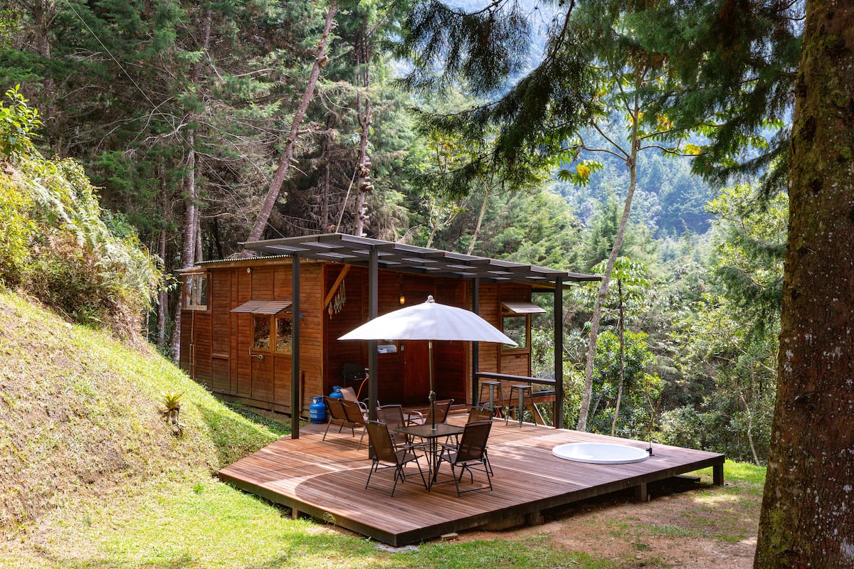 PNR Radiata Minicasa en el Bosque