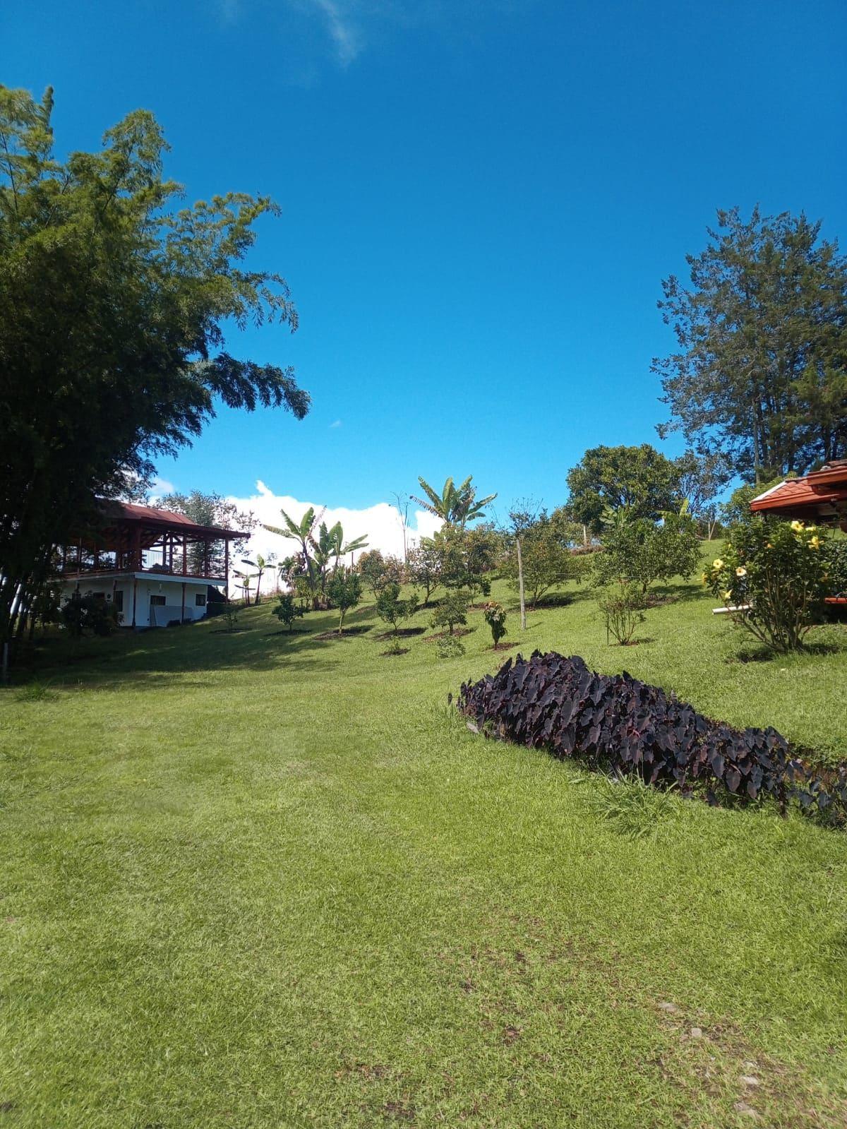 Finca Alejandría