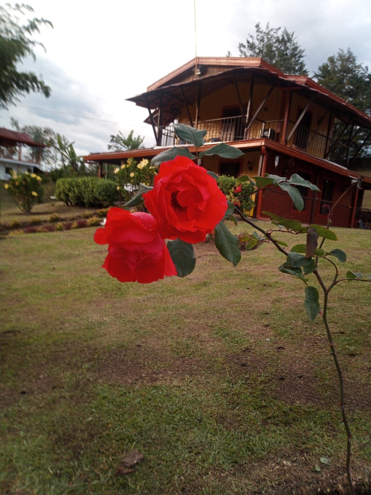 Finca Alejandría