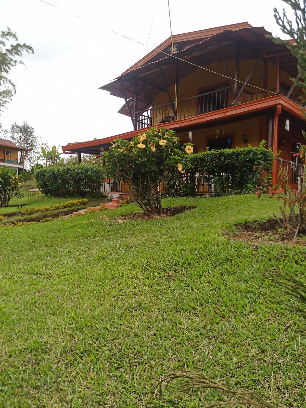 Finca Alejandría