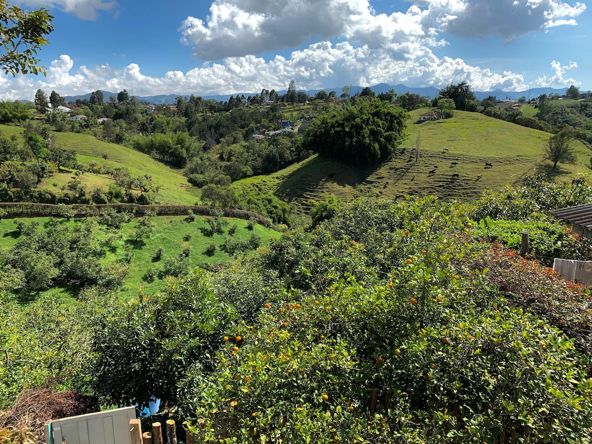 Azulejo - Finca aguacatera encantadora