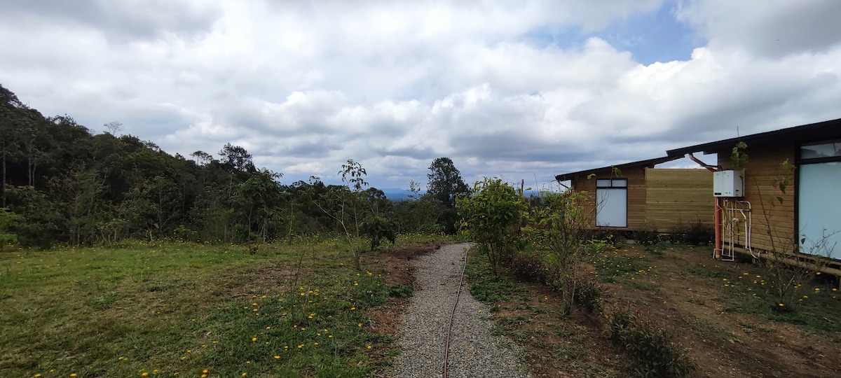 Terravista 3