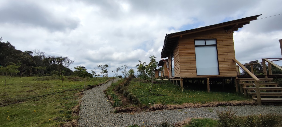 Terravista 3