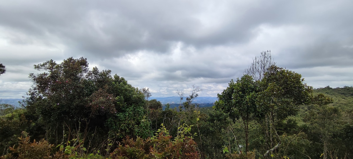 Terravista 3