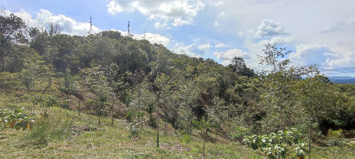 Terravista 3