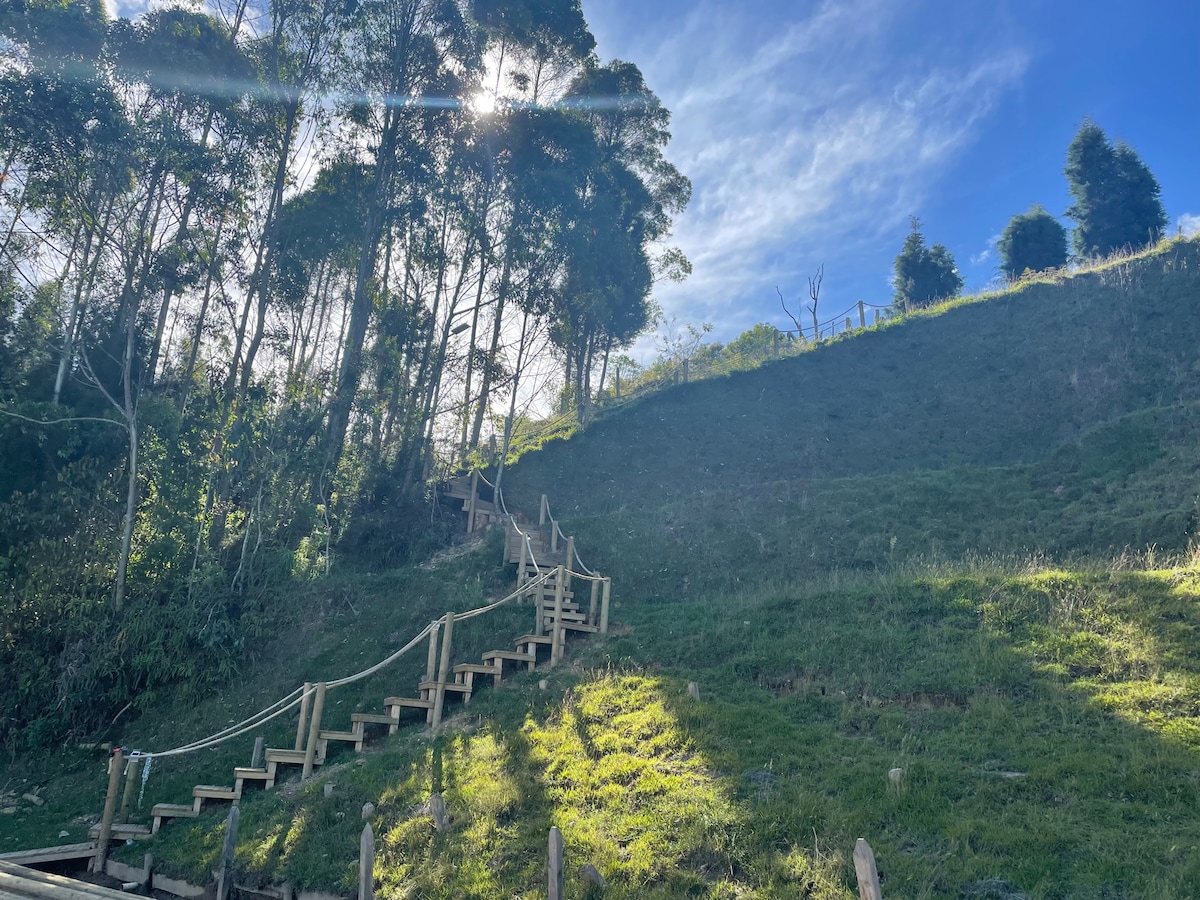 Entre-pinos Glamping WiFi Vista 360º