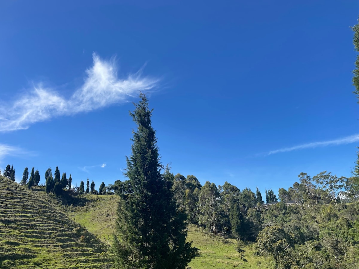 Entre-pinos Glamping WiFi Vista 360º
