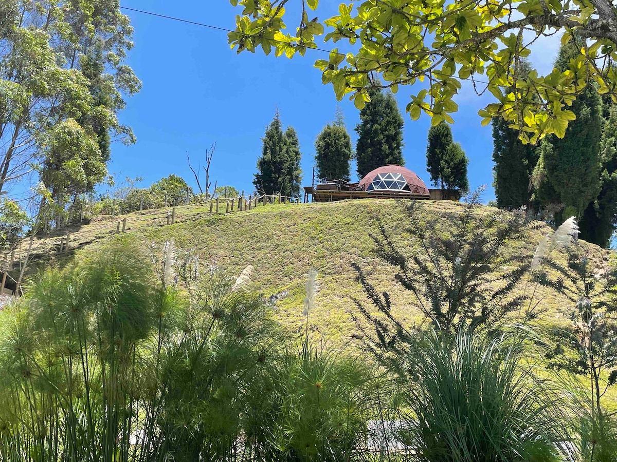 Entre-pinos Glamping WiFi Vista 360º