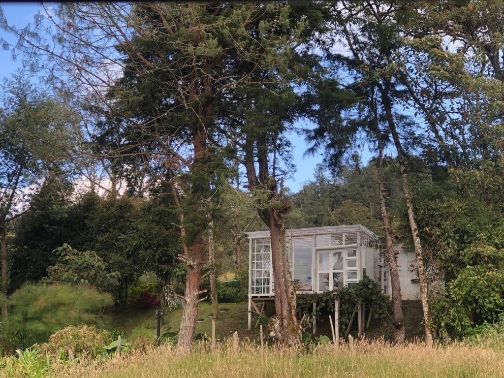 La casita de las alas