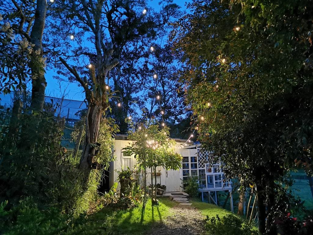 La casita de las alas
