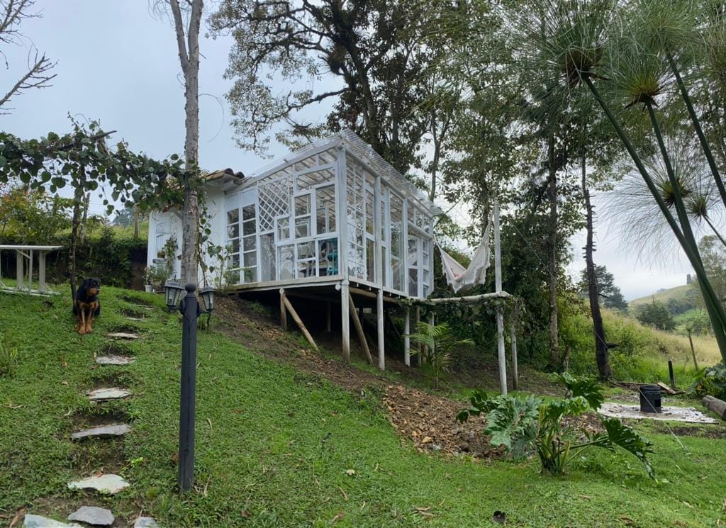 La casita de las alas