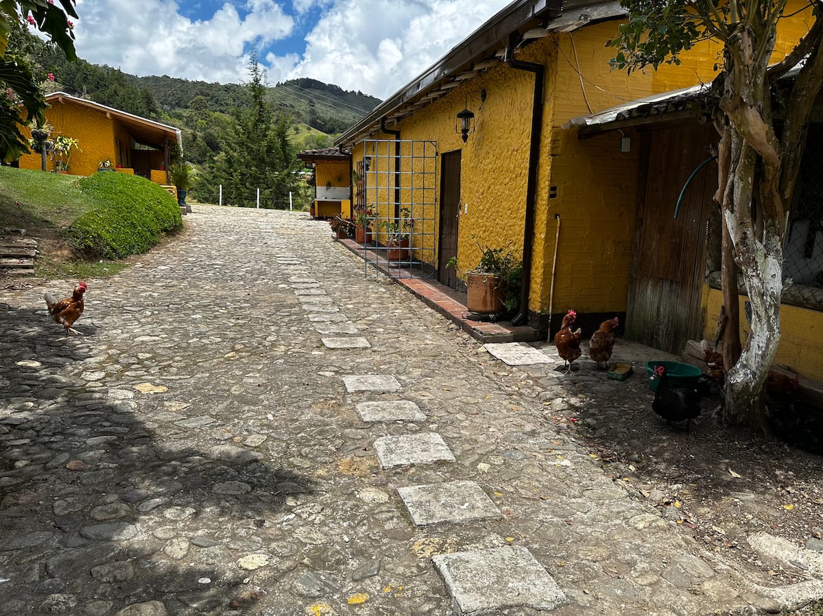 Avatar Mountain Retreat: "La Casita"