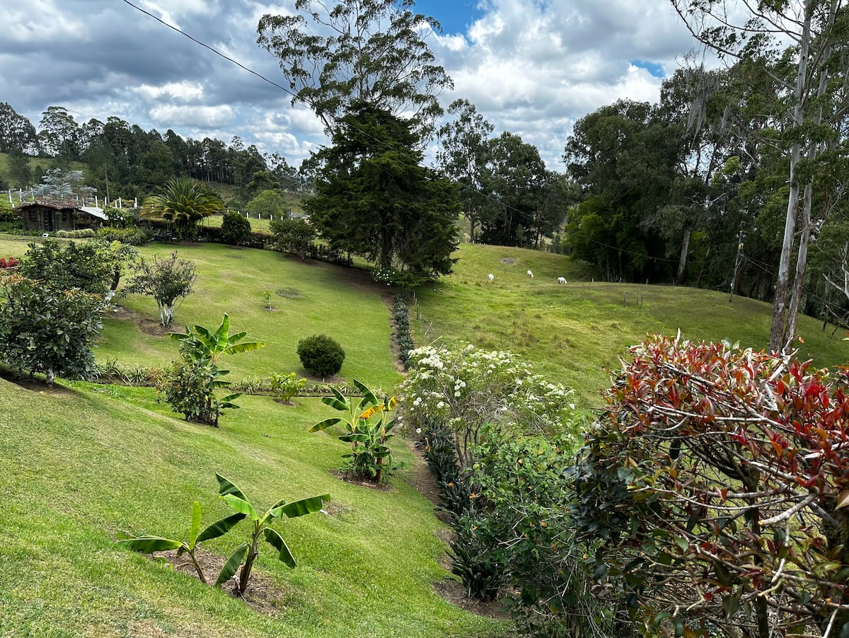 Avatar Mountain Retreat: "La Casita"