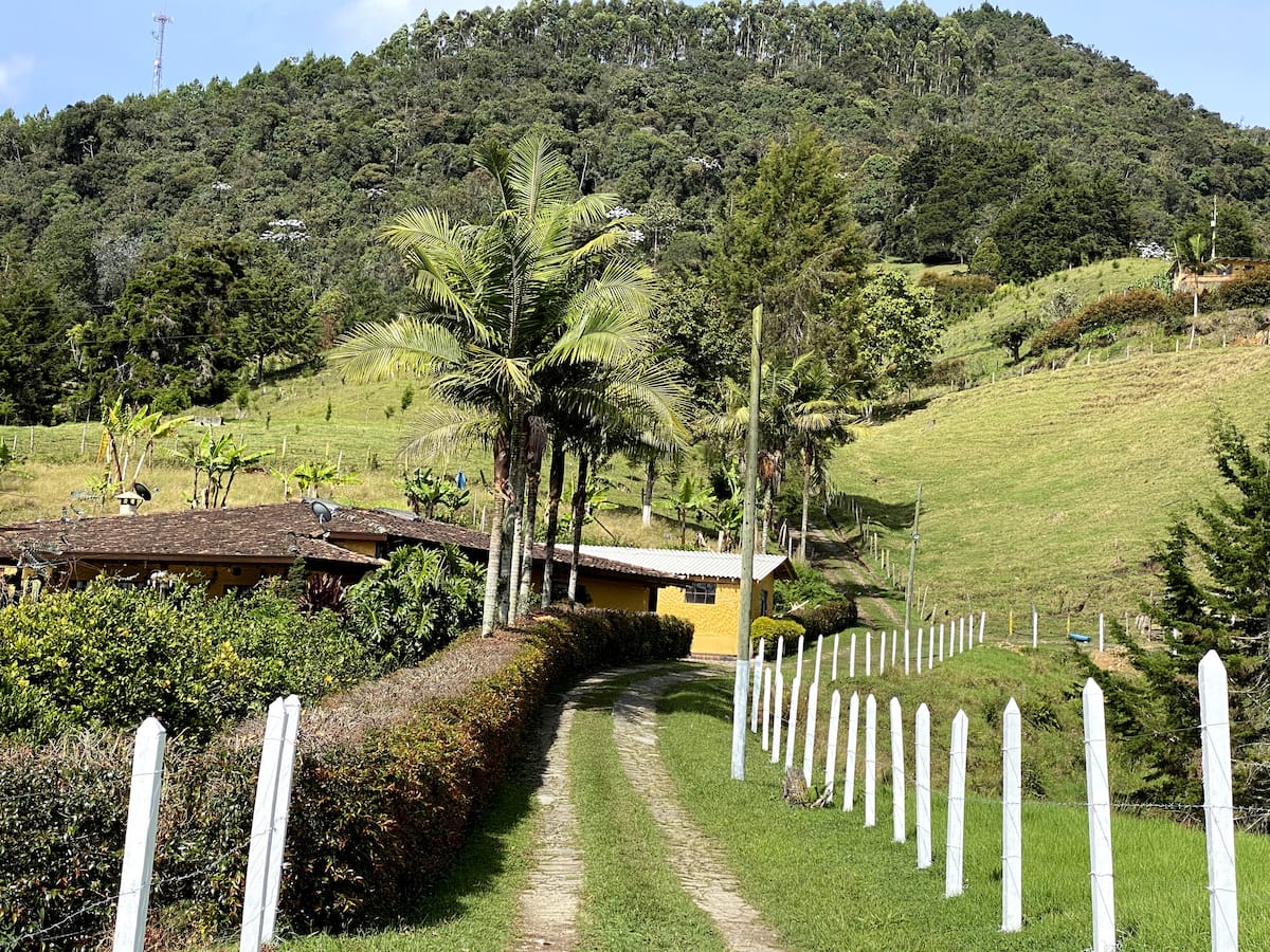 Avatar Mountain Retreat: "La Casita"