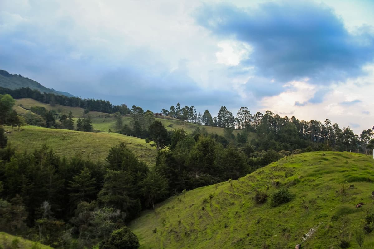 Avatar Mountain Retreat: "La Casita"